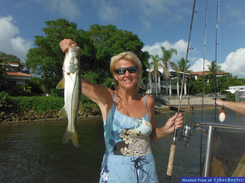 Click to Enlarge Photo