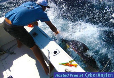 Click to Enlarge Photo