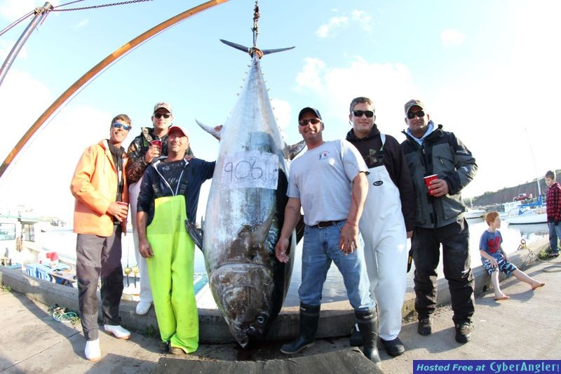 906 BlueFin Tuna