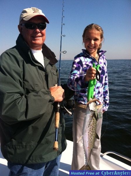 Spanish Mackerel