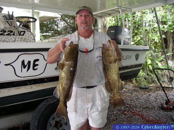 Grouper in the bay
