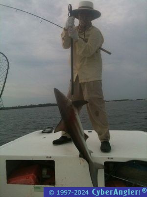 Click to Enlarge Photo