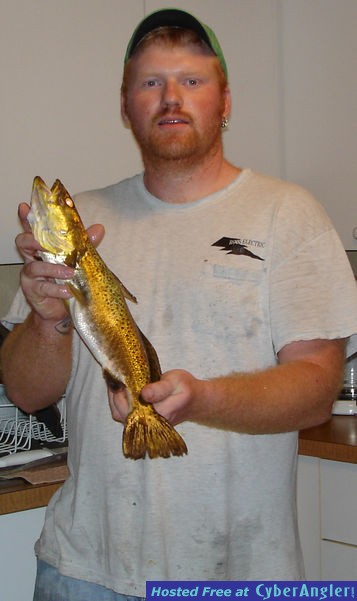 Da Trout