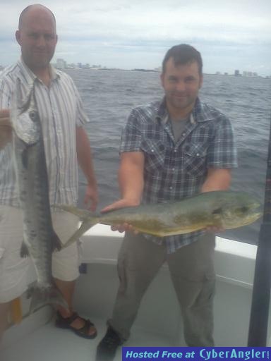 Kingfish Doplfin Dave steve bar
