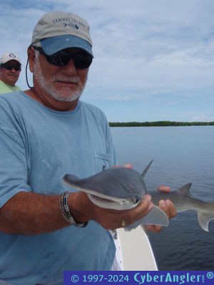 Click to Enlarge Photo