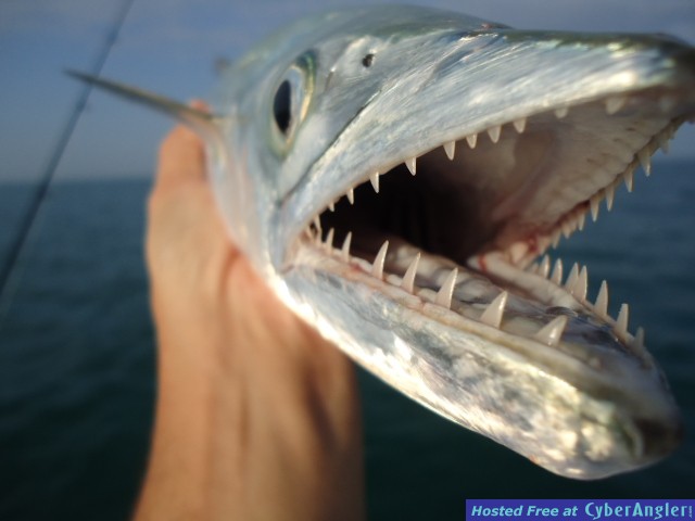 Chompers_0021