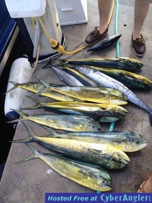 Click to Enlarge Photo