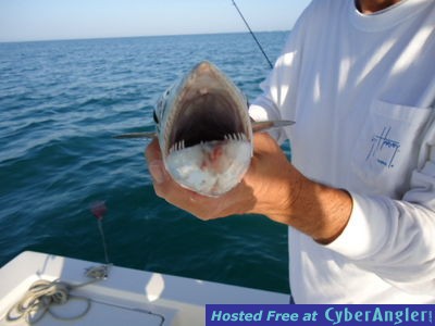 Click to Enlarge Photo