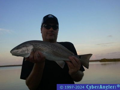 Click to Enlarge Photo