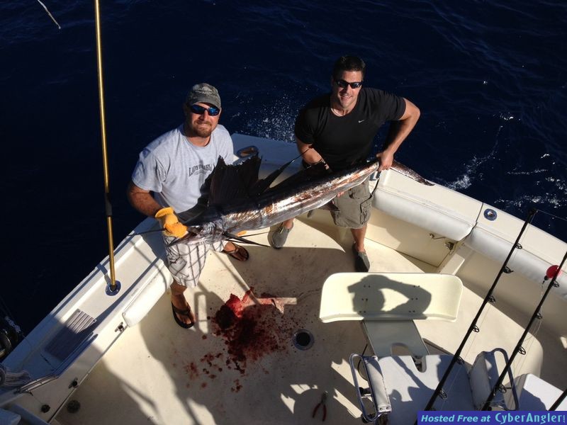 SAILFISH