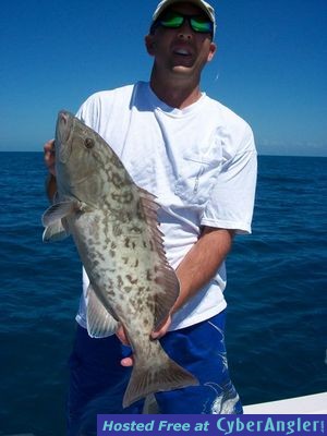 Click to Enlarge Photo