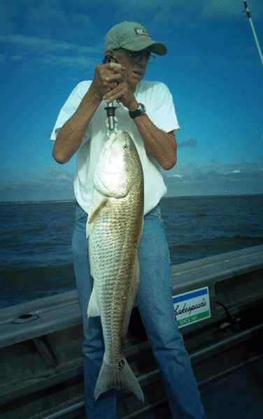 www.captdaves.com