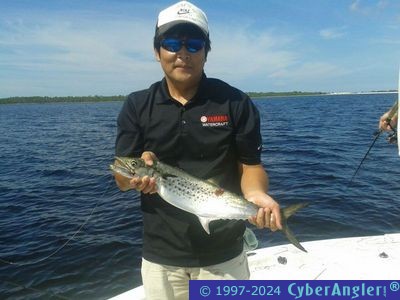 Click to Enlarge Photo