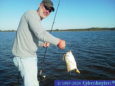 Click to Enlarge Photo