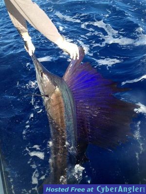 Click to Enlarge Photo