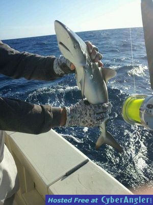 Click to Enlarge Photo