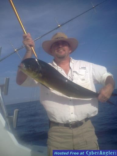 mahi