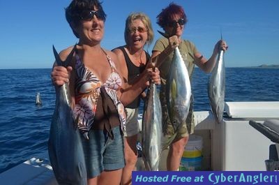 Click to Enlarge Photo