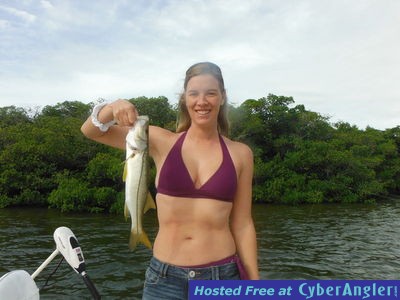 Click to Enlarge Photo