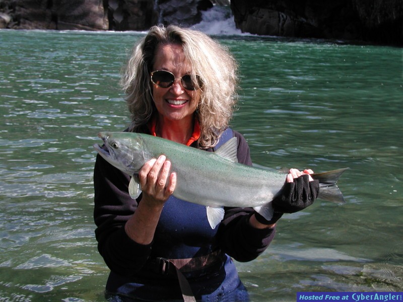 Nimmo Bay fall Salmon