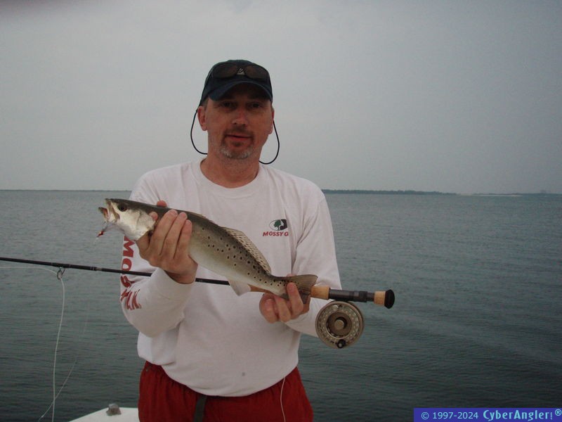 Trout on the fly