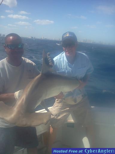 shark eve