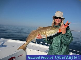 Bull Redfish