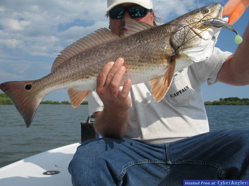 Mosquito Lagoon - Tug of War Charters