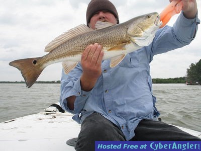 Mosquito Lagoon - Tug of War Charters