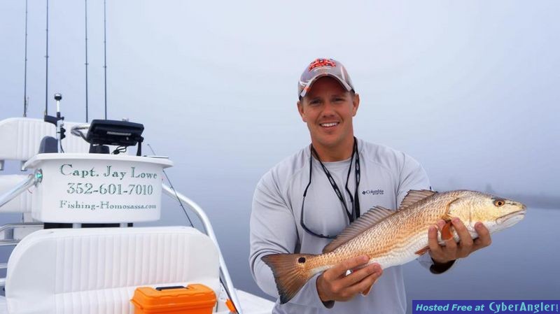Homosassa Redfish
