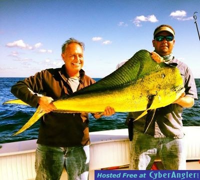 florida keys dorado