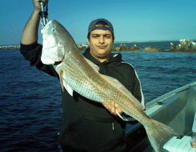 Click to Enlarge Photo