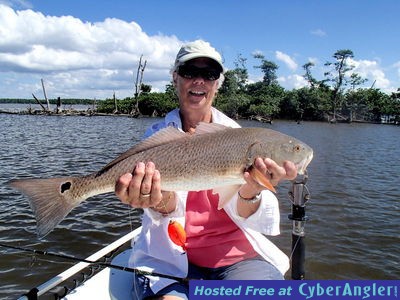 Click to Enlarge Photo