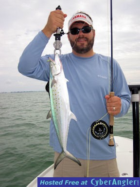 John Weir Sarasota fly Spanish mackerel