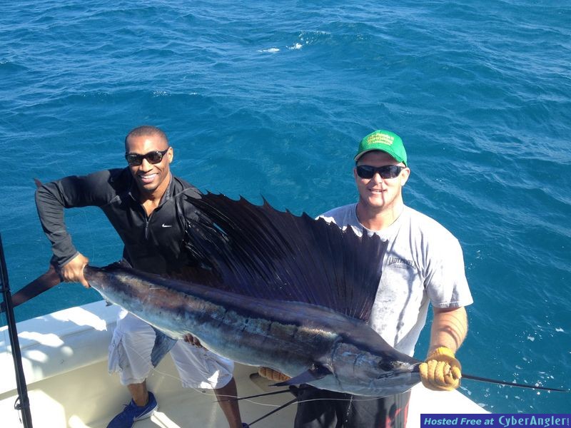 Pauls first sailfish