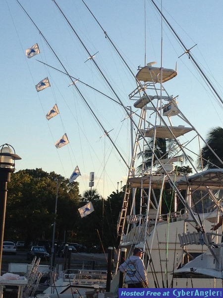 Six Sailfish Day
