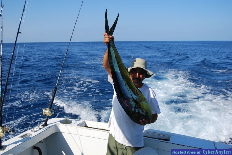Dorado_Salvador