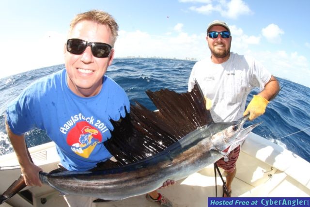 Steves Sailfish