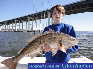 Alex_Red_fish-jpeg