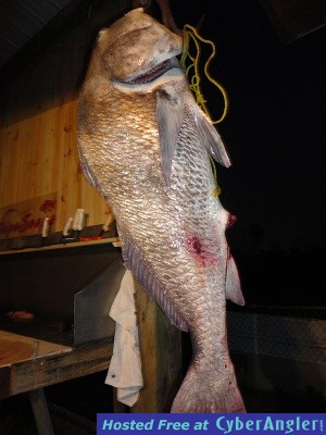 BIG_NASTY_Black_Drum-jpeg