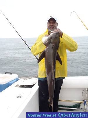 Bl_Cobia-jpeg