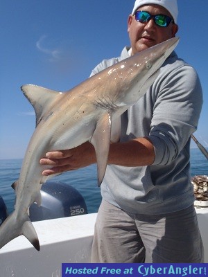 Brian_s_shark-jpeg