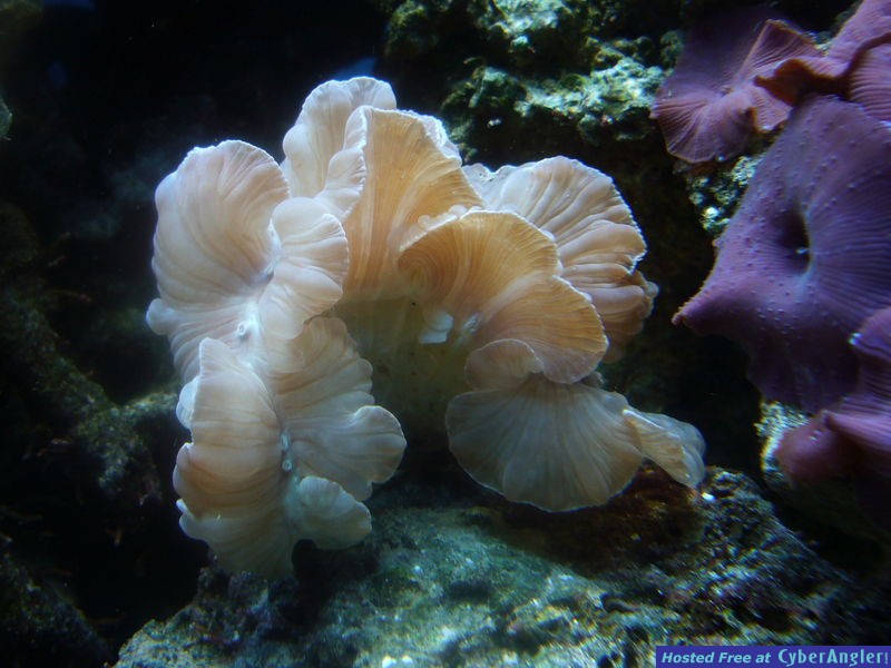 P1000766