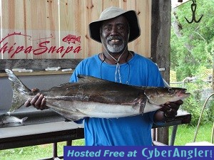 Mr_Butler_Cobia-jpeg