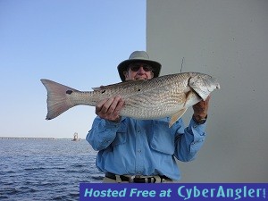 Mr_Larry_bay_red-jpeg