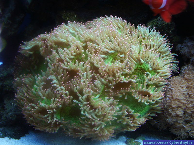 P1000769