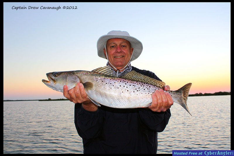 Mosquito Lagoon Fish