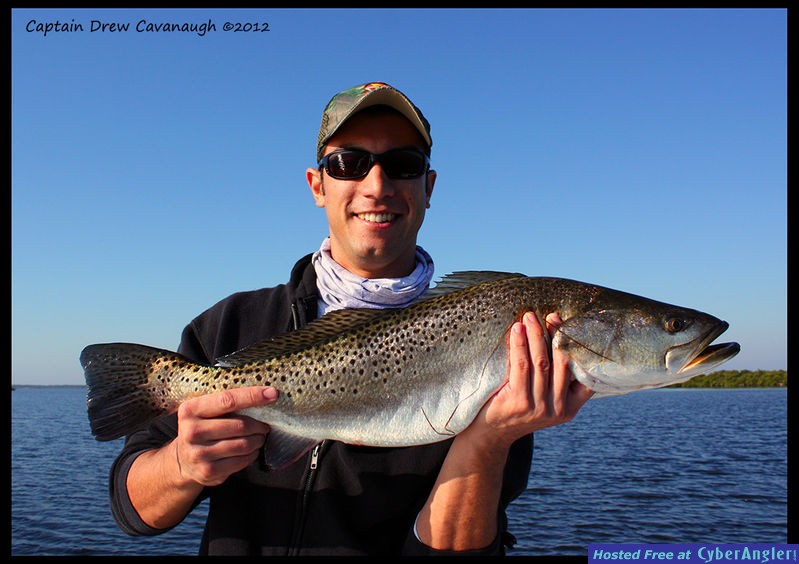 Mosquito Lagoon Fish