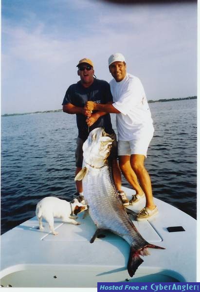 Big Tarpon