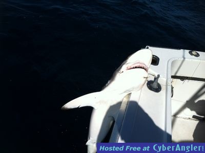 Captain Taco Fort Lauderdale Fishing aboard Hooked Up 954.764.4344. - 877.S